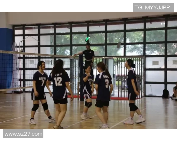 杭州排球队荣登排球意识排行榜第三名展现实力与团队精神